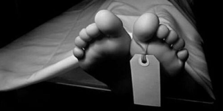 ilustrasi/ halo banten