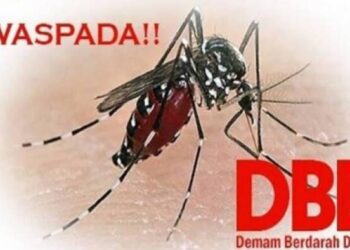 Gawat, DBD di Tangsel Capai 577 Kasus Sepanjang 2022