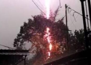 FOTO: Petir Menyambar Pohon Aren di Pamulang, Suaranya Menggelegar