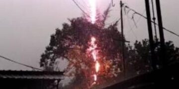 FOTO: Petir Menyambar Pohon Aren di Pamulang, Suaranya Menggelegar