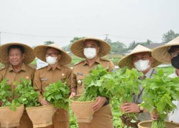 Bupati Zaki Iskandar Launching Gedung Pusat Agropolitan di Sepatan