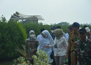 Bupati Zaki Iskandar Pamerkan Ketapang Aqua Culture Mauk Di Hadapan Komisi IV DPR RI
