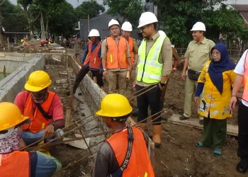 Tinjau Pembangunan Tandon Pengendalian Banjir, Pilar: Masyarakat Jaga Daerah Aliran Sungai di Tangsel