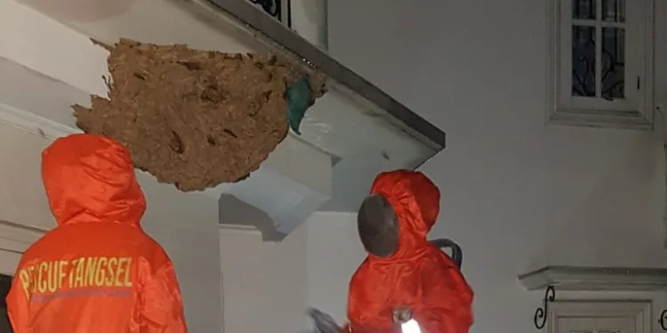 Dinas Damkar Tangerang Selatan Evakuasi 178 Sarang Tawon