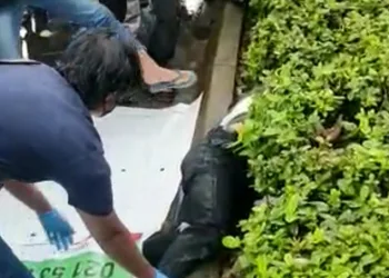 Kakak Beradik di Tangerang Bunuh Teman Nongkrong, Mayatnya Dibuang di Pinggir Jalan di Pagedangan