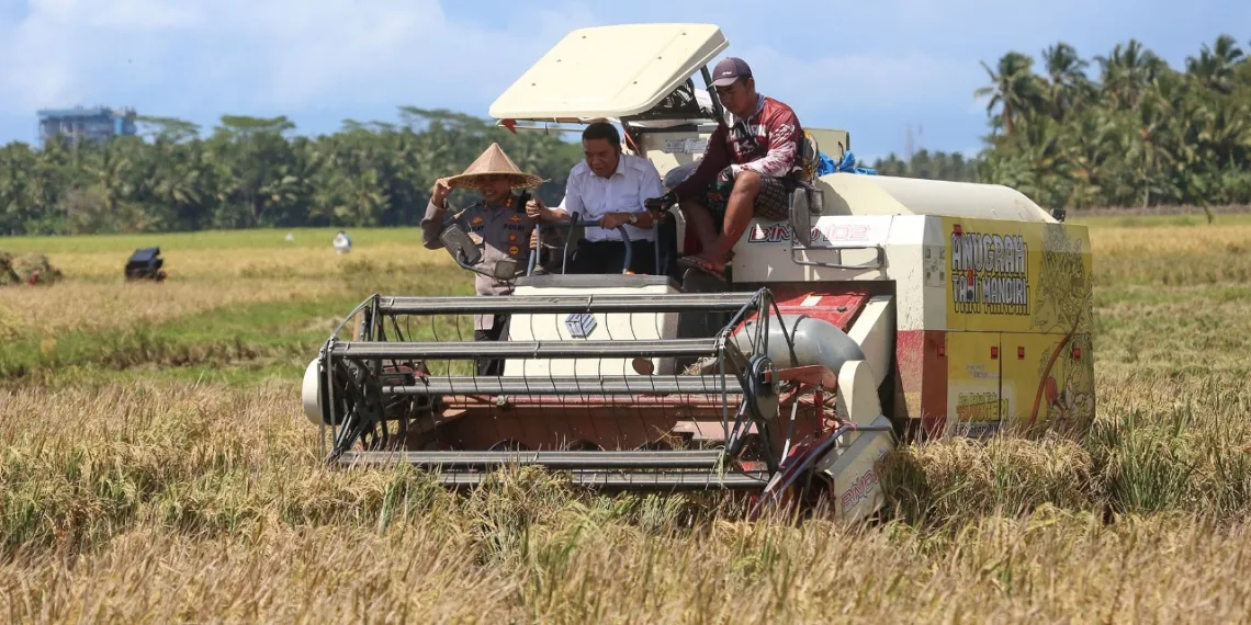 Al Muktabar Jadi “Petani” Kemudikan Mesin Pemanen Padi Hingga Dapat Empat Karung Gabah