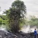 Lapak Limbah Karet Fanbelt di Rajeg Tangerang Terbakar
