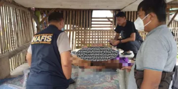 Mayat Pemuda Penuh Luka di Gubuk Gegerkan Warga Jayanti