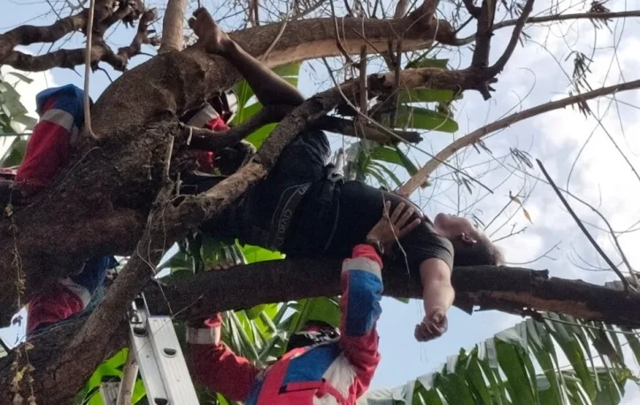 Usai Nyabu dan Miras, Pemuda Tidur Pulas di Atas Pohon