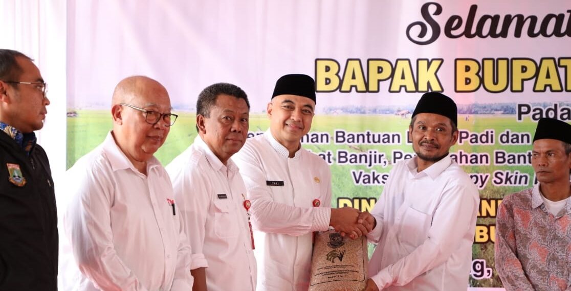 Bupati Tangerang Serahkan Bantuan Benih Padi Pupuk Dan Sapi