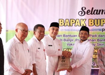 Bupati Tangerang Serahkan Bantuan Benih Padi Pupuk Dan Sapi