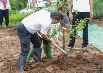 Iriana Jokowi Ikuti Gerakan Penanaman pohon di Magelang Pj Gubernur Banten Tanam Durian Siseupah