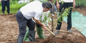 Iriana Jokowi Ikuti Gerakan Penanaman pohon di Magelang Pj Gubernur Banten Tanam Durian Siseupah
