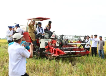 Menteri Pertanian Syahrul Yasin Limpo Panen Padi Kecamatan Tirtayasa Kabupaten Serang