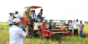 Menteri Pertanian Syahrul Yasin Limpo Panen Padi Kecamatan Tirtayasa Kabupaten Serang