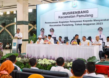 Indeks Pembangunan Manusia di Tangerang Selatan Alami Kenaikan