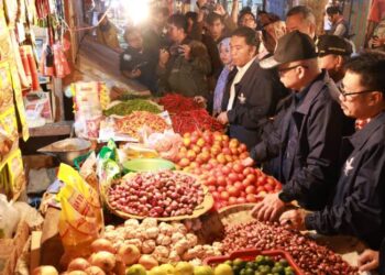 Pj Gubernur Banten Pantau Sembako di Pasar Rau