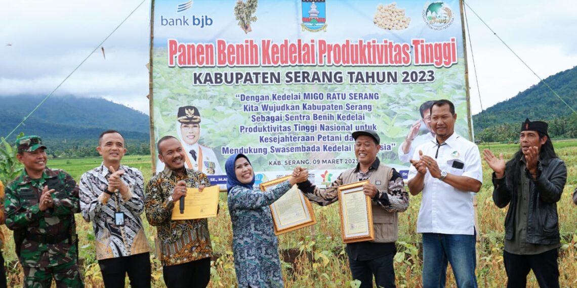 Profesor Ahli Pertanian di Kabupaten Serang Sukses Ujicoba Varietas Unggul Kedelai Migo Ratu Serang