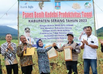 Profesor Ahli Pertanian di Kabupaten Serang Sukses Ujicoba Varietas Unggul Kedelai Migo Ratu Serang