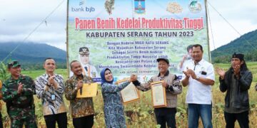Profesor Ahli Pertanian di Kabupaten Serang Sukses Ujicoba Varietas Unggul Kedelai Migo Ratu Serang