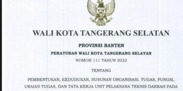 Begini Penjelasan Pembentukan UPT Disperkimta Tangsel