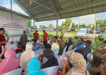 Sinar Mas Land Gelar Pelatihan Pertanian Ramah Lingkungan kepada Puluhan Petani Binaan