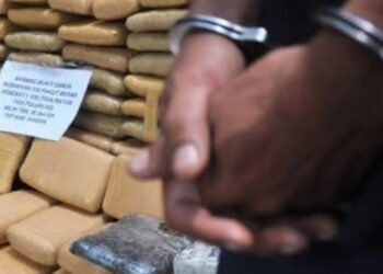 BNN Ringkus Oknum Anggota TNI AD di Tangerang Atas Dugaan Kepemilikan 50 Kg Ganja