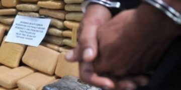 BNN Ringkus Oknum Anggota TNI AD di Tangerang Atas Dugaan Kepemilikan 50 Kg Ganja