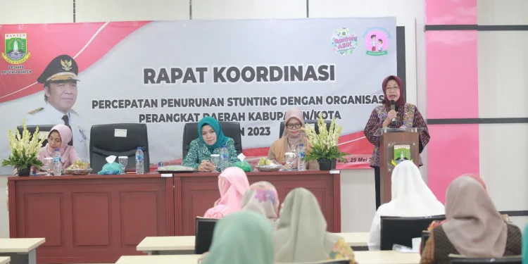 Kepala DP3AKKB Provinsi Banten Sitti Ma'ani Nina menyampaikan Pemprov Banten memiliki komitmen yang sangat tinggi terhadap persoalan stunting