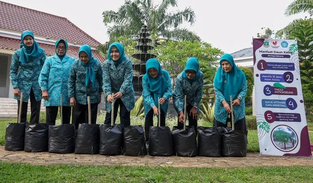 Gerakan Sejuta Pohon Kelor