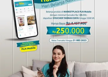 Puluhan Ribu Order Banjiri UMKM di Marketplace PLN Mobile
