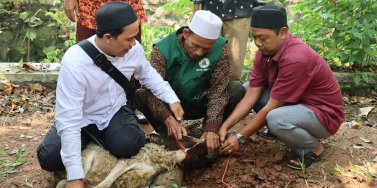 Pemkab Tangerang Ajarkan Tata Cara Berkurban Jelang Idul Adha
