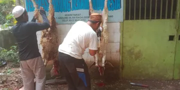 Idul Adha 1444 H, Pokja WHTR Bagikan 120 Bungkus Daging Kurban Kepada Masyarakat