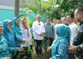 Kelompok Wanita Tani Seroja Kampanyekan Gerakan Menanam Sejuta Pohon Kelor