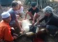 Idul Adha 1444 H, PWI Tangsel Sembelih 5 Ekor Hewan Kurban