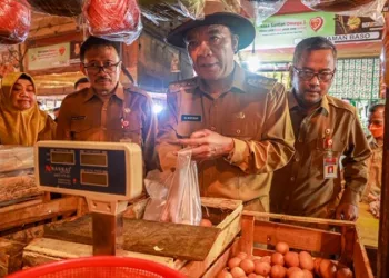 Daging Ayam dan Telur Fluktuatif, Pj Gubernur Banten Al Muktabar Sidak Pasar Rau Kota Serang