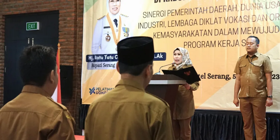 Program SDC