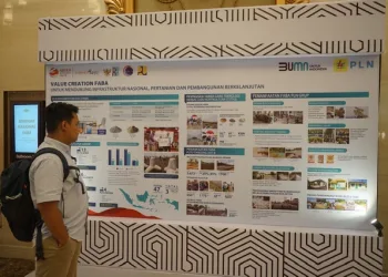 Pemerintah Dorong PLN Perluas Pemanfaatan FABA PLTU