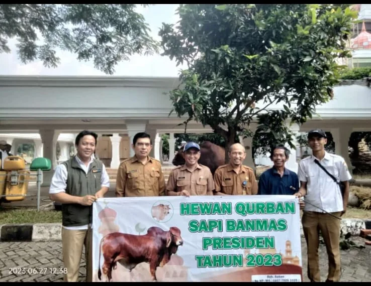 Provinsi Banten Terima Bantuan Hewan Kurban Sapi dari Presiden Joko Widodo