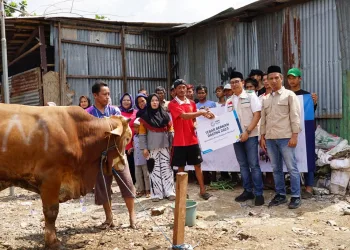 Idul Adha 1444 H, YBM PLN Salurkan 1.444 Hewan Kurban Ke Seluruh Indonesia