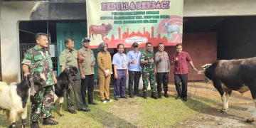 Sambut Idul Adha, PT Indah Kiat Pulp & Paper Tangerang Mill Bagikan Puluhan Hewan Kurban