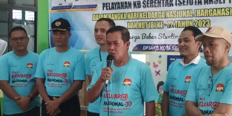 Wali Kota Serang, Syafrudin