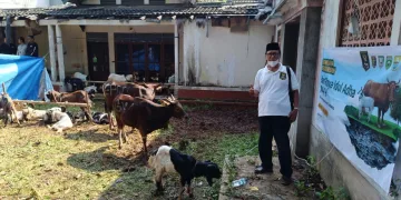 Idul Adha 1444 H, Tenaga Pembangunan Sriwijaya Bersama GIS Laksanakan Pemotongan Hewan Kurban