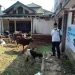 Idul Adha 1444 H, Tenaga Pembangunan Sriwijaya Bersama GIS Laksanakan Pemotongan Hewan Kurban