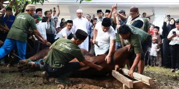 Idul Adha 1444 H, Pemkot Serang Salurkan 80 Hewan Kurban