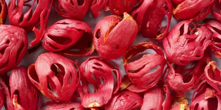 Fuli kering sebagai salah satu komoditas ekspor dari DSA Wisata Negeri Hila ke Eropa.