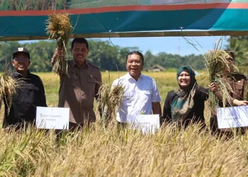 Juni 2023, Inflasi Provinsi Banten Terkendali di 3,15 Persen