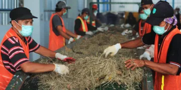 PLN Kembangkan Pembangkit Listrik dari Sampah dengan Kapasitas 17,7 MW di Palembang