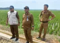 Bahagianya Petani Cikeusik, Padinya Terselamatkan Berkat Pompanisasi