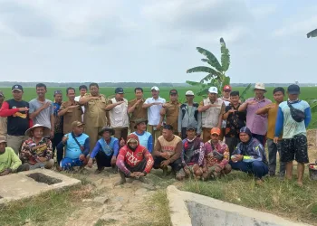 Pemprov Banten Terus Jaga Keberlangsungan Produksi Padi